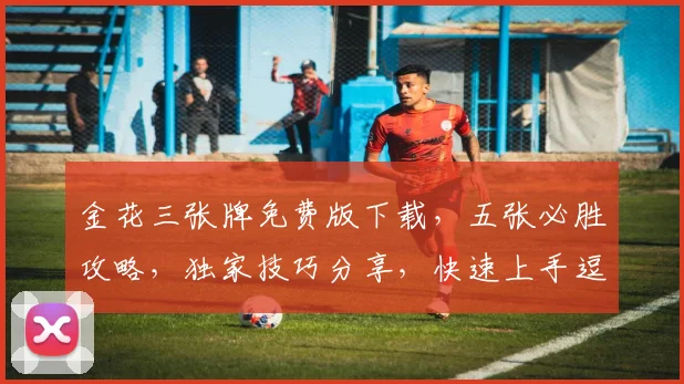 金花三张牌免费版下载，五张必胜攻略，独家技巧分享，快速上手逗乐赢